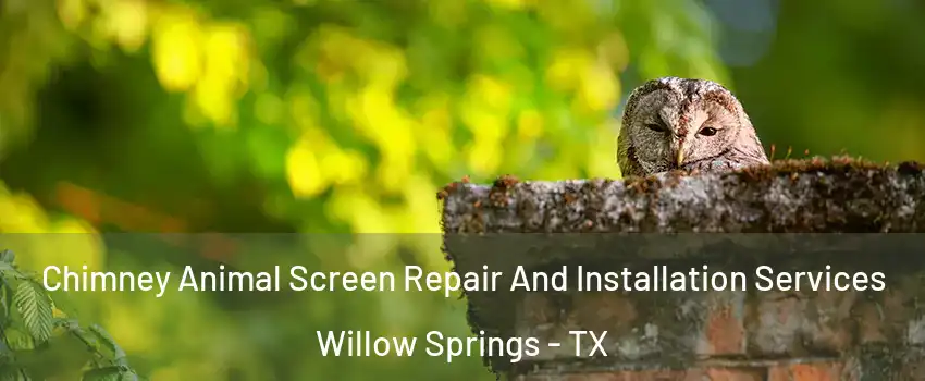 Chimney Animal Screen Repair And Installation Services Willow Springs - TX