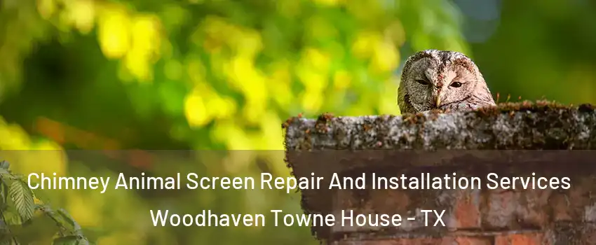 Chimney Animal Screen Repair And Installation Services Woodhaven Towne House - TX