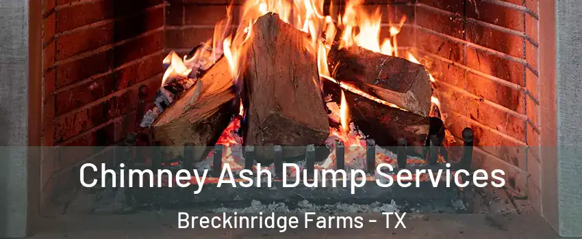 Chimney Ash Dump Services Breckinridge Farms - TX