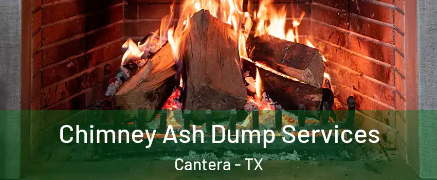 Chimney Ash Dump Services Cantera - TX