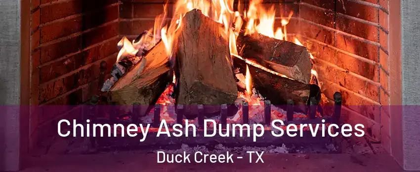 Chimney Ash Dump Services Duck Creek - TX