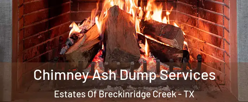 Chimney Ash Dump Services Estates Of Breckinridge Creek - TX