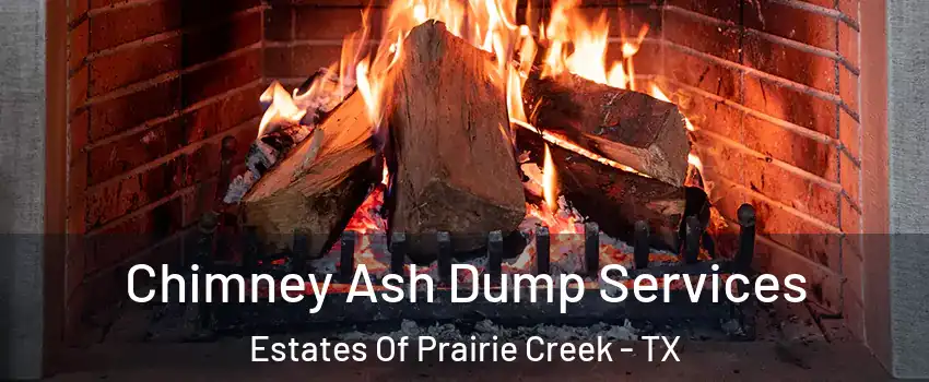 Chimney Ash Dump Services Estates Of Prairie Creek - TX