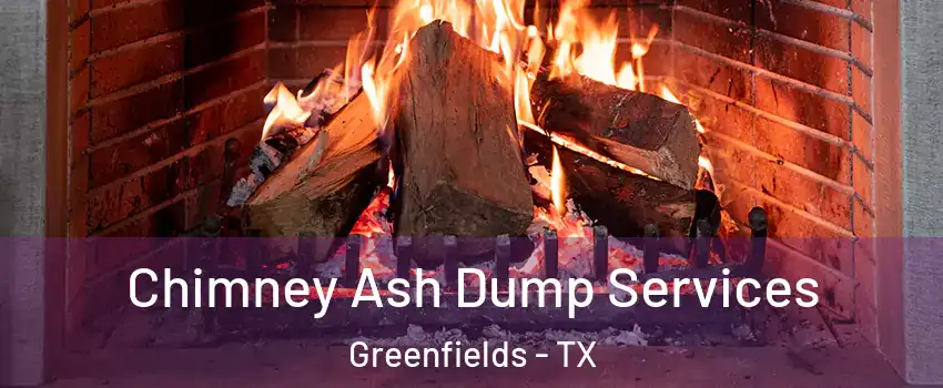Chimney Ash Dump Services Greenfields - TX