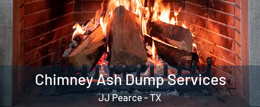 Chimney Ash Dump Services JJ Pearce - TX