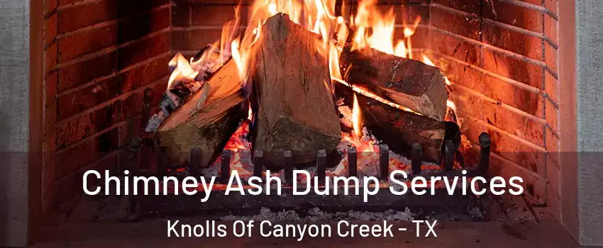 Chimney Ash Dump Services Knolls Of Canyon Creek - TX