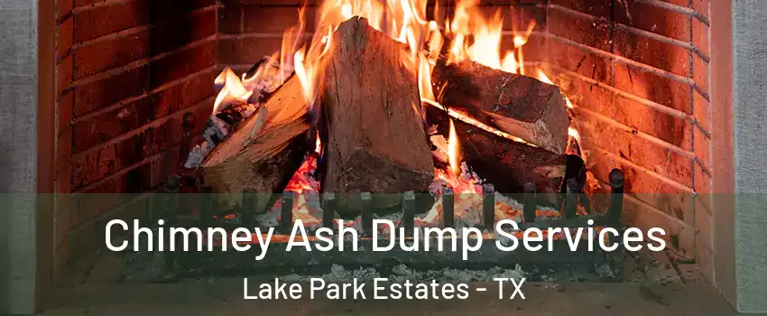 Chimney Ash Dump Services Lake Park Estates - TX