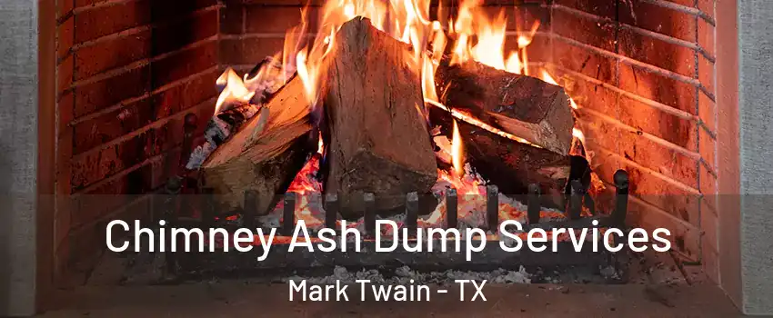 Chimney Ash Dump Services Mark Twain - TX