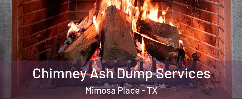 Chimney Ash Dump Services Mimosa Place - TX