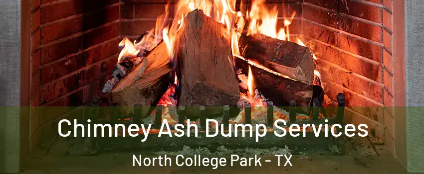 Chimney Ash Dump Services North College Park - TX