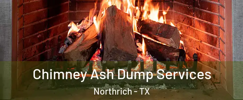 Chimney Ash Dump Services Northrich - TX
