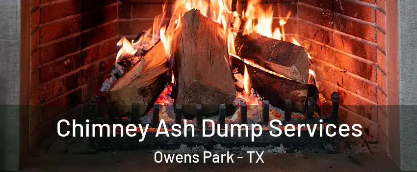 Chimney Ash Dump Services Owens Park - TX
