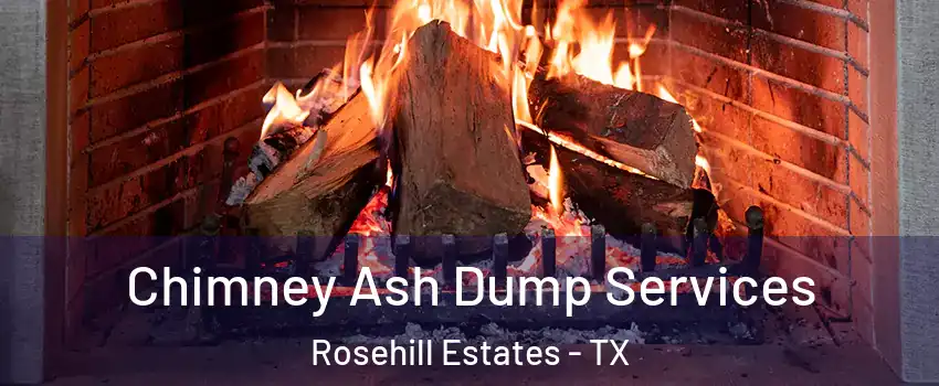 Chimney Ash Dump Services Rosehill Estates - TX
