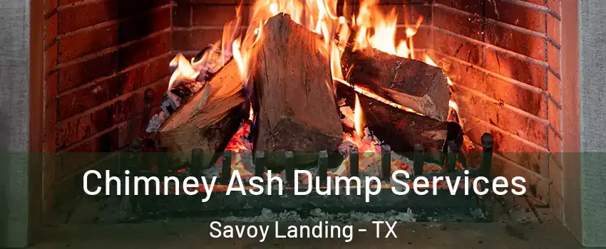 Chimney Ash Dump Services Savoy Landing - TX