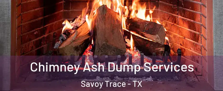 Chimney Ash Dump Services Savoy Trace - TX