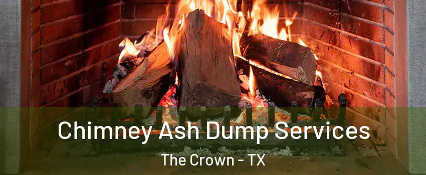 Chimney Ash Dump Services The Crown - TX