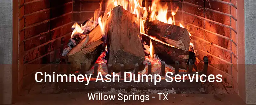 Chimney Ash Dump Services Willow Springs - TX