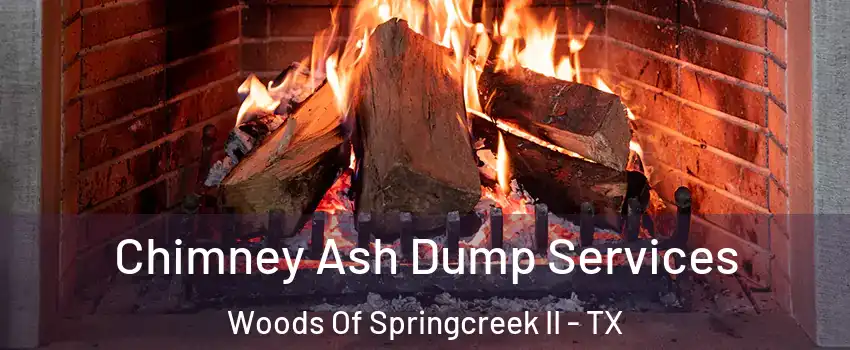 Chimney Ash Dump Services Woods Of Springcreek II - TX