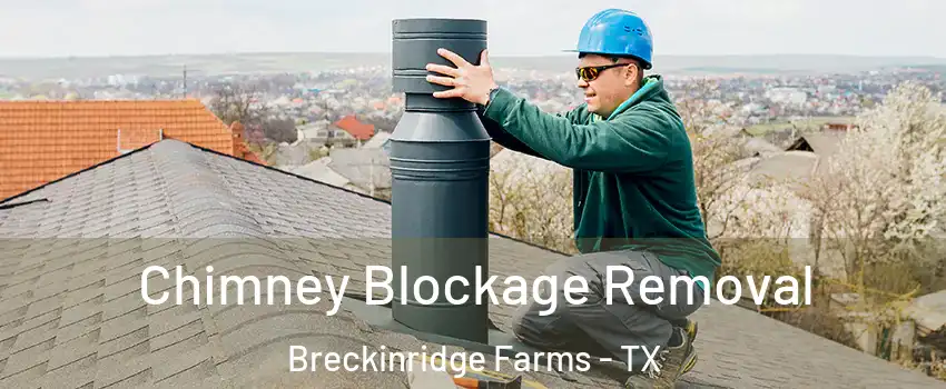 Chimney Blockage Removal Breckinridge Farms - TX