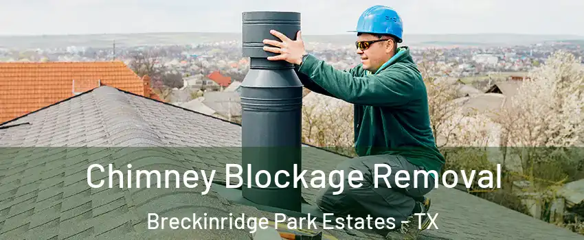 Chimney Blockage Removal Breckinridge Park Estates - TX