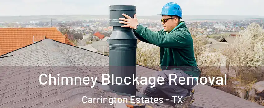 Chimney Blockage Removal Carrington Estates - TX