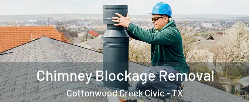 Chimney Blockage Removal Cottonwood Creek Civic - TX