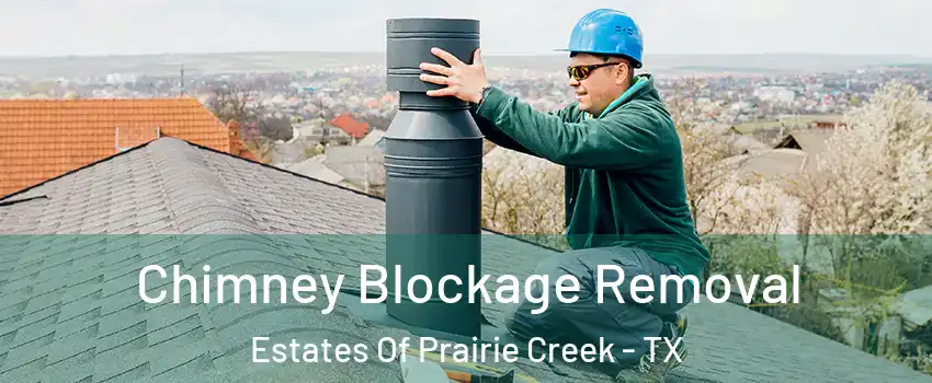 Chimney Blockage Removal Estates Of Prairie Creek - TX