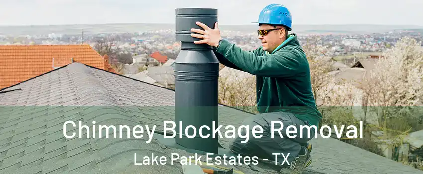 Chimney Blockage Removal Lake Park Estates - TX