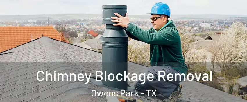 Chimney Blockage Removal Owens Park - TX
