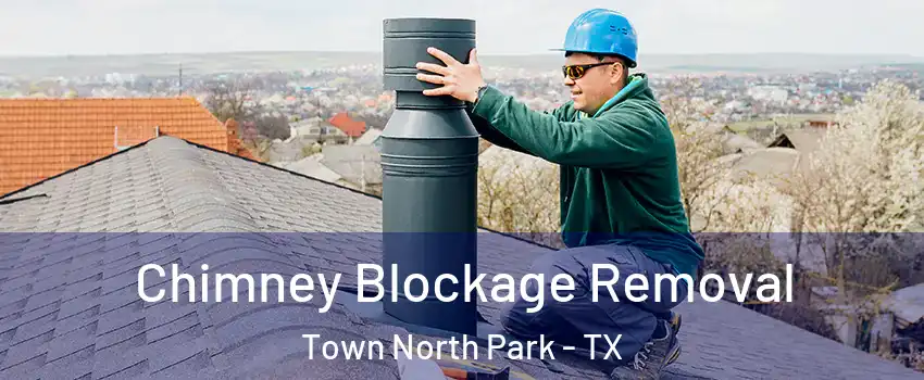 Chimney Blockage Removal Town North Park - TX