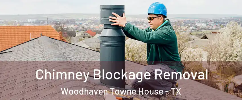 Chimney Blockage Removal Woodhaven Towne House - TX