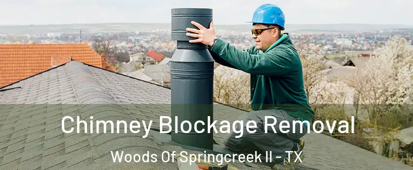 Chimney Blockage Removal Woods Of Springcreek II - TX