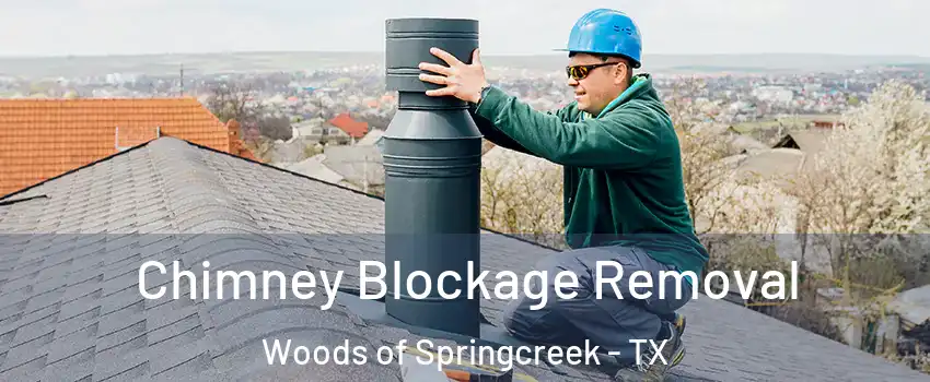 Chimney Blockage Removal Woods of Springcreek - TX