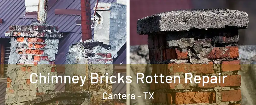 Chimney Bricks Rotten Repair Cantera - TX