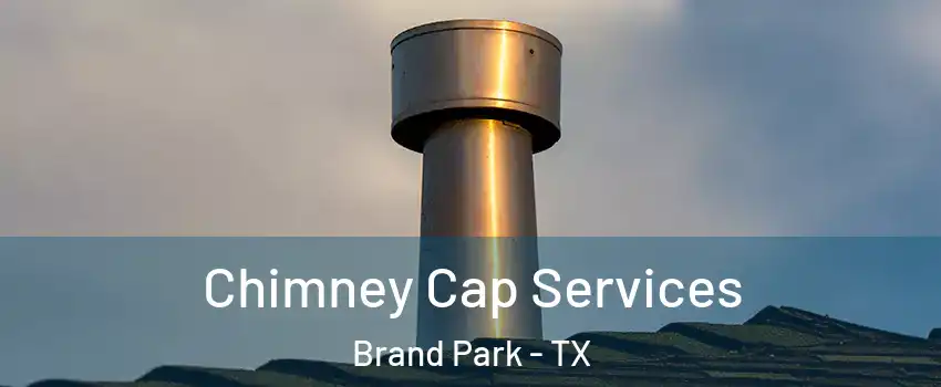 Chimney Cap Services Brand Park - TX