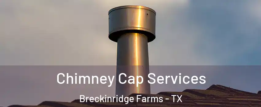 Chimney Cap Services Breckinridge Farms - TX
