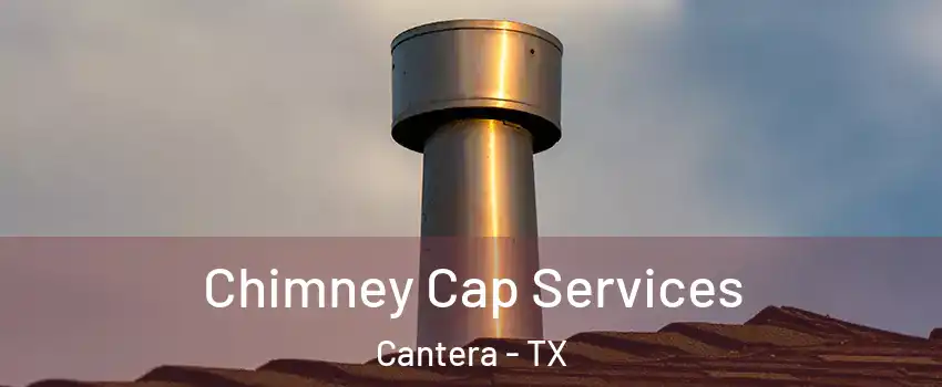 Chimney Cap Services Cantera - TX