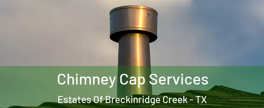 Chimney Cap Services Estates Of Breckinridge Creek - TX