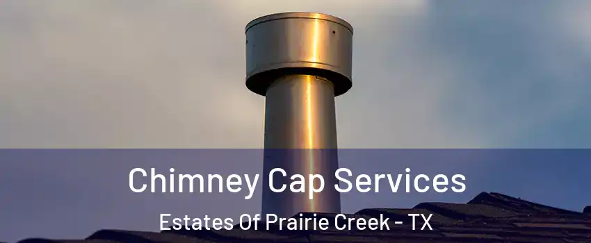 Chimney Cap Services Estates Of Prairie Creek - TX