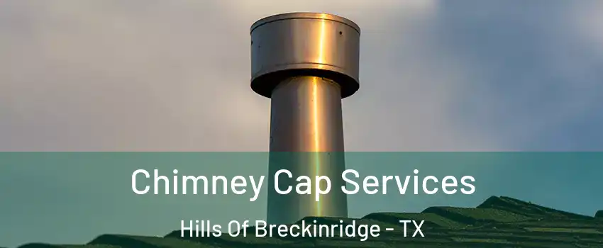 Chimney Cap Services Hills Of Breckinridge - TX