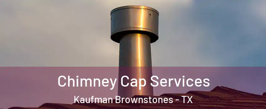 Chimney Cap Services Kaufman Brownstones - TX