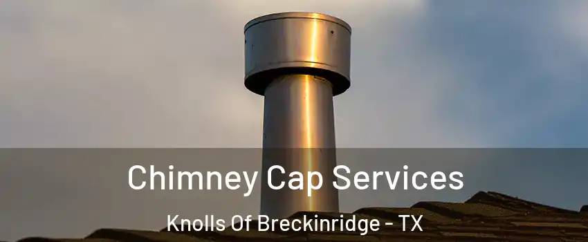 Chimney Cap Services Knolls Of Breckinridge - TX
