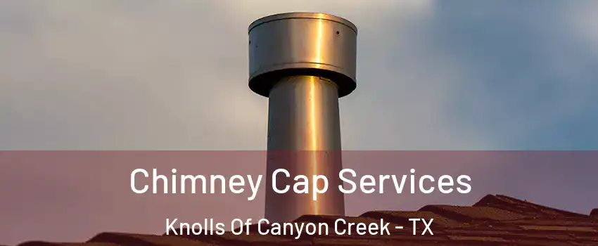 Chimney Cap Services Knolls Of Canyon Creek - TX