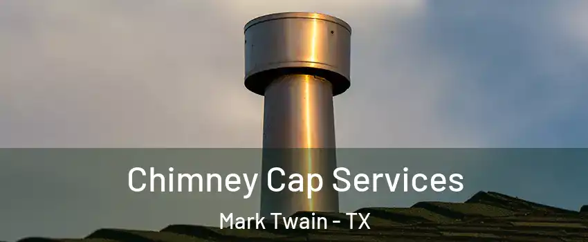 Chimney Cap Services Mark Twain - TX