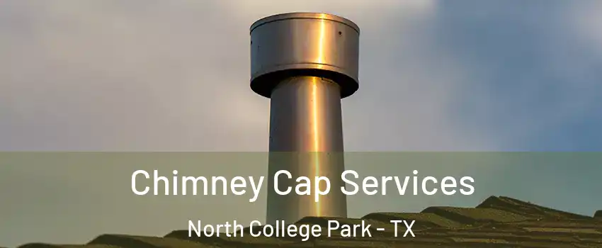 Chimney Cap Services North College Park - TX