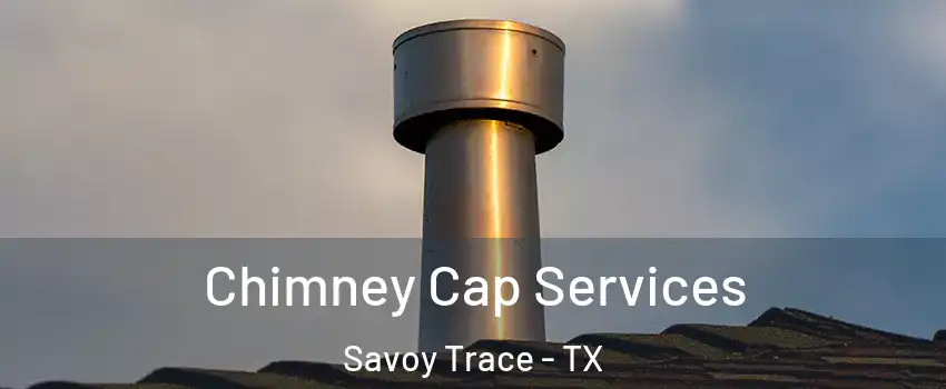 Chimney Cap Services Savoy Trace - TX
