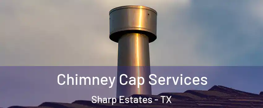 Chimney Cap Services Sharp Estates - TX