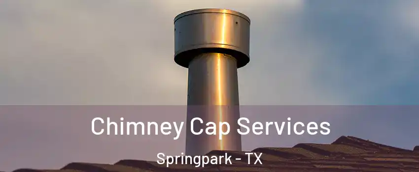 Chimney Cap Services Springpark - TX