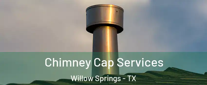 Chimney Cap Services Willow Springs - TX