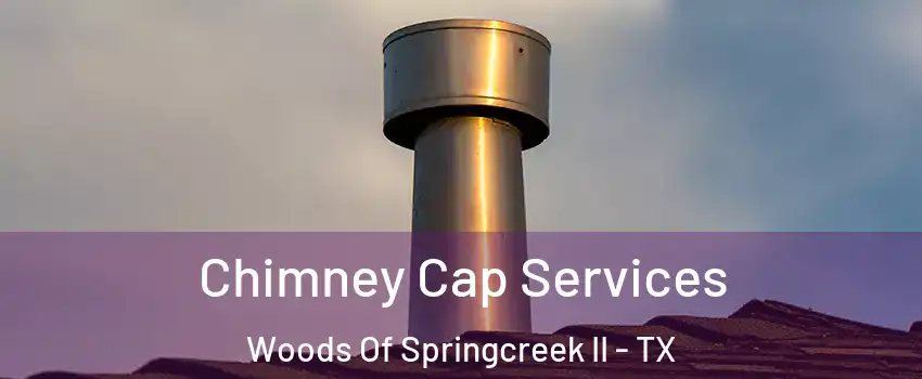 Chimney Cap Services Woods Of Springcreek II - TX